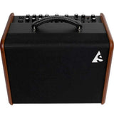 Godin Acoustic Solutions Combo Acoustic Amp Natural