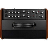 Godin Acoustic Solutions Combo Acoustic Amp Natural