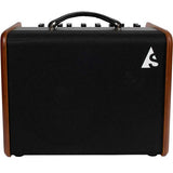 Godin Acoustic Solutions Combo Acoustic Amp Natural