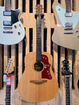 Avalon Gold Series D100 Electro-Acoustic (Preloved)
