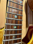 Fender Special Edition Custom Telecaster Spalted Maple HH (Preloved)