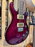 2009 PRS 25th Anniversary Custom 24 ~ 10 Top Angry Larry