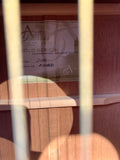Avalon Gold Series D100 Electro-Acoustic (Preloved)