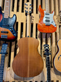 2019 Taylor 114e Electro Acoustic