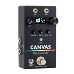 Walrus Audio Canvas Rehersal
