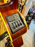 1993 Takamine EN40 Electro Acoustic (MIJ)