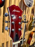 Aosen ES-335 Style Semi - Hollow (Preloved)