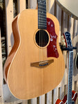 Avalon Gold Series D100 Electro-Acoustic (Preloved)