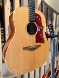 Avalon Gold Series D100 Electro-Acoustic (Preloved)