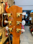 Avalon Gold Series D100 Electro-Acoustic (Preloved)