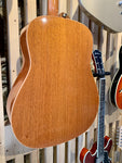Avalon Gold Series D100 Electro-Acoustic (Preloved)