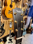 Taylor 224ce-K DLX Electro Acoustic (Preloved)