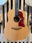 Avalon Gold Series D100 Electro-Acoustic (Preloved)