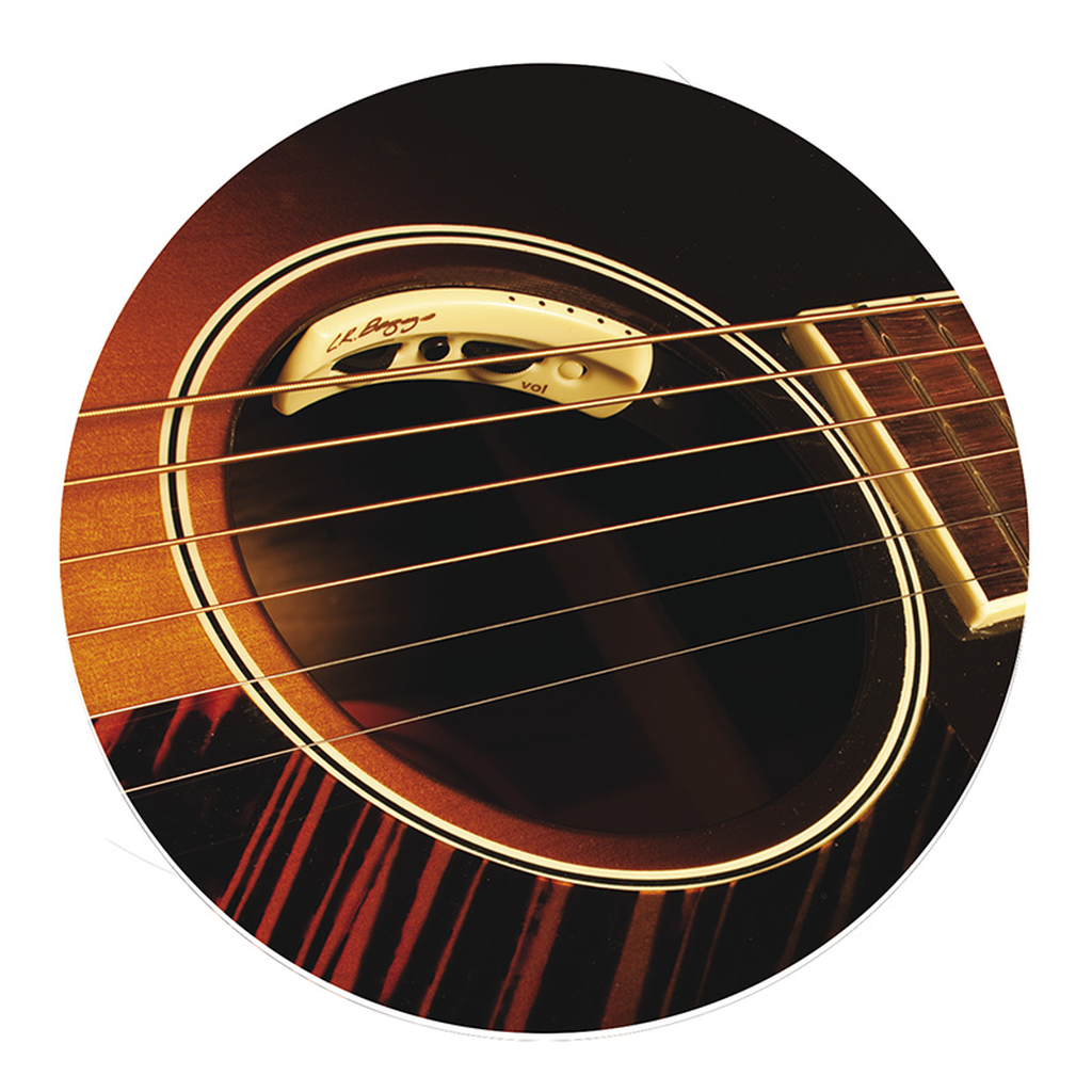 LR BAGGS ANTHEM Acoustic Pickup – Windmill Guitars